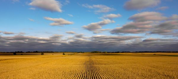 ABOUT IOWA