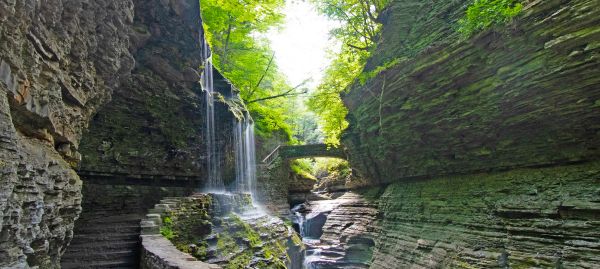 Entretenimiento en Watkins Glen y alrededores