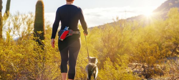 Entertainment and leisure in Phoenix