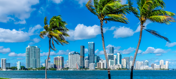 Entertainment and leisure in Miami