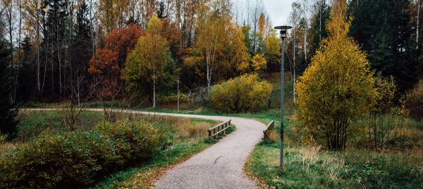 Entertainment in the Raceway area