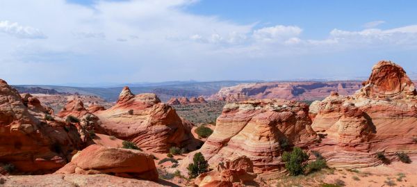 Entertainment and leisure in Phoenix