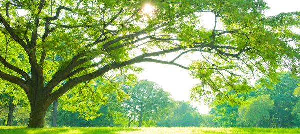 Entertainment and leisure around the speedway