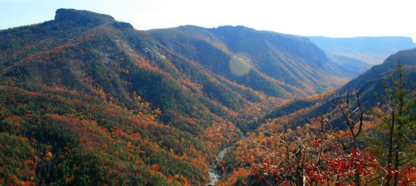 ABOUT NORTH CAROLINA