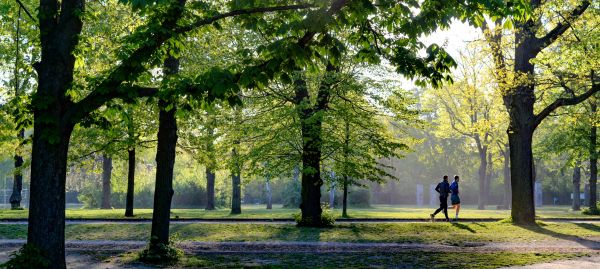 Entertainment and leisure in Darlington and around