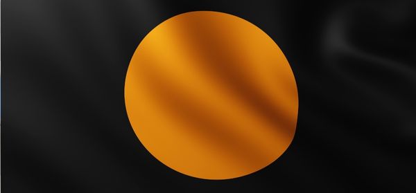 Zwarte vlag met oranje cirkel | Formule 1
