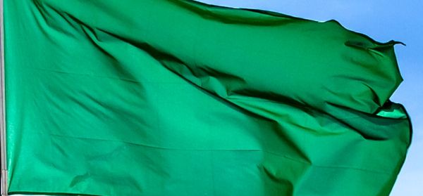 Zielona flaga | Formuła 1