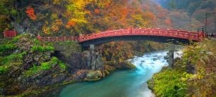 Divertissements dans la préfecture de Tochigi