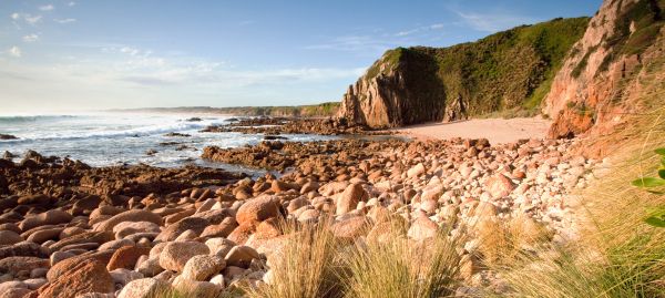 ABOUT PHILLIP ISLAND